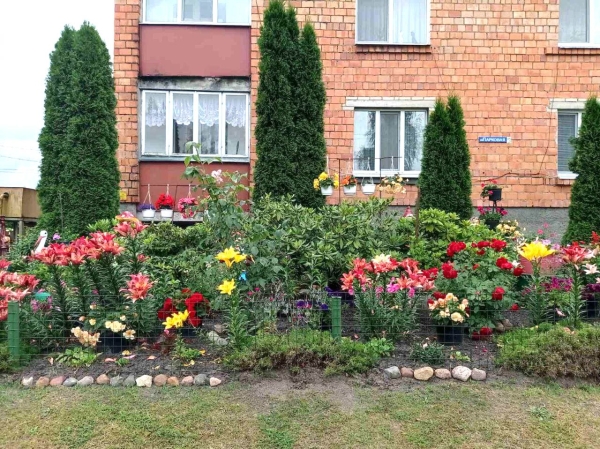 Посмотрите, какую клумбу в Брестской области обустроила семья Посмотрите, какую клумбу в Брестской области обустроила семья