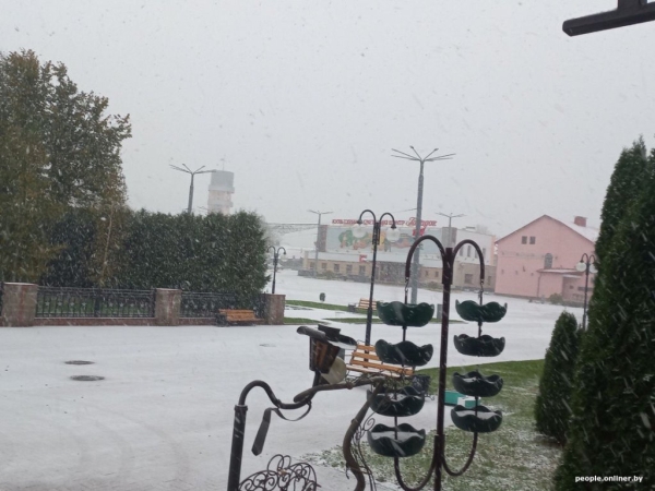В Беларуси выпал снег В Беларуси выпал снег