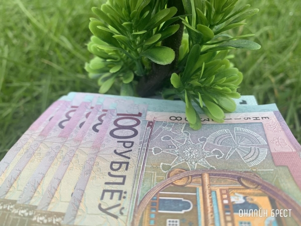 «Я дал себе время погулять и не думать о накоплениях». О своем бюджете рассказал молодой специалист лесного хозяйства «Я дал себе время погулять и не думать о накоплениях». О своем бюджете рассказал молодой специалист лесного хозяйства