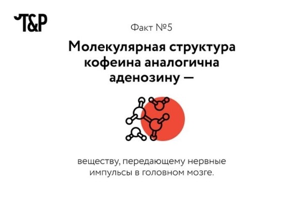 Разрешённый наркотик: несколько фактов о кофеине