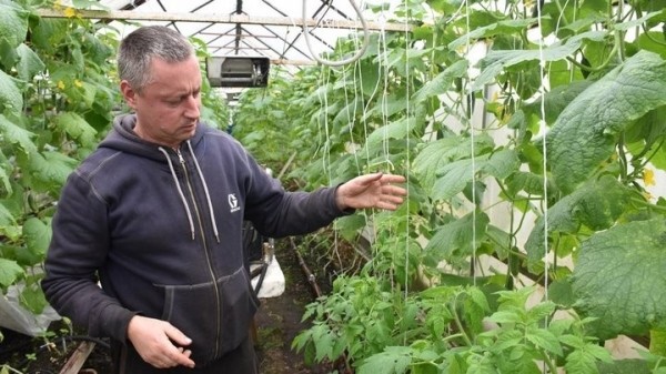 «Если все продам, заработаю чистыми 6 тысяч рублей». Как прораб бросил все и занялся рассадой «Если все продам, заработаю чистыми 6 тысяч рублей». Как прораб бросил все и занялся рассадой