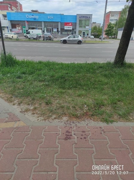 
                Читатель: Произошло столкновение велосипедиста с пешеходом. Просьба откликнуться свидетелей данного происшествия
            