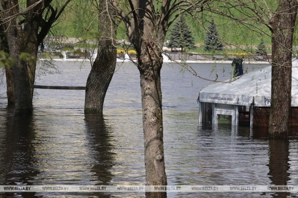 Паводок в Гомеле. Фотофакт