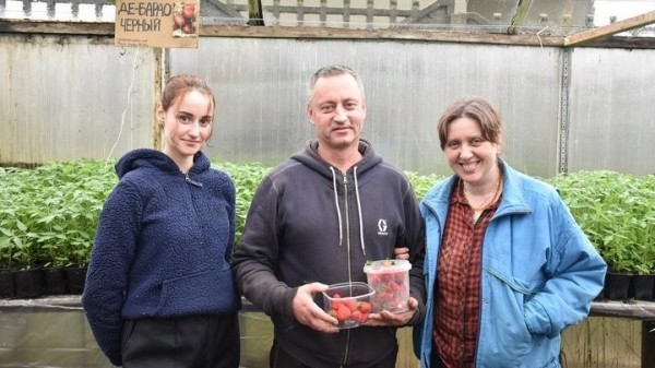 «Если все продам, заработаю чистыми 6 тысяч рублей». Как прораб бросил все и занялся рассадой «Если все продам, заработаю чистыми 6 тысяч рублей». Как прораб бросил все и занялся рассадой