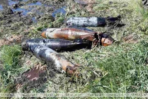 Авиационные снаряды обнаружены недалеко от д. Угляны (Брестская область)