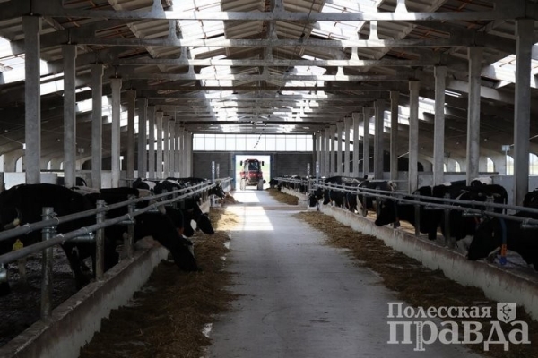 В Брестской области в Колодеевичах торжественно открыли новую молочно-товарную ферму В Брестской области в Колодеевичах торжественно открыли новую молочно-товарную ферму