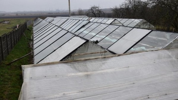 «Если все продам, заработаю чистыми 6 тысяч рублей». Как прораб бросил все и занялся рассадой «Если все продам, заработаю чистыми 6 тысяч рублей». Как прораб бросил все и занялся рассадой