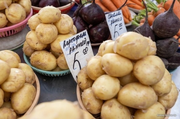 Наконец-то молодая белорусская картошка. Смотрим, почем у нас и у соседей Наконец-то молодая белорусская картошка. Смотрим, почем у нас и у соседей