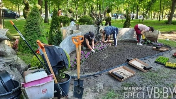 Ландшафт с большой буквы. В Бресте вышло на новый уровень понимание городского озеленения и благоустройства