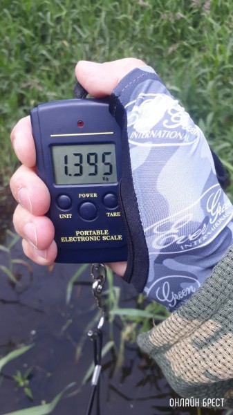 Улов жителя Бреста
Улов жителя Бреста