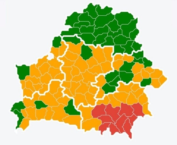 Собираетесь провести выходные в лесу? Проверьте, не запрещено ли это