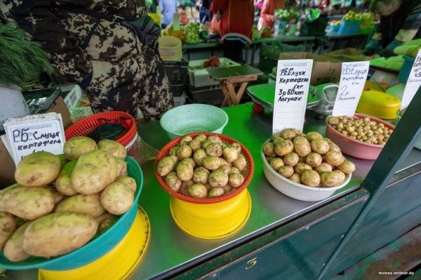 Наконец-то молодая белорусская картошка. Смотрим, почем у нас и у соседей Наконец-то молодая белорусская картошка. Смотрим, почем у нас и у соседей