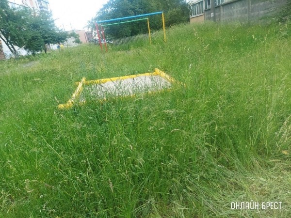 Читатель: Так выглядит детская площадка по ул.Шоссейной, 7. После прогулки во дворе, у ребёнка с одежды сняли клеща
Читатель: Так выглядит детская площадка по ул.Шоссейной, 7. После прогулки во дворе, у ребёнка с одежды сняли клеща