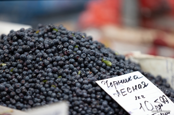 Начался сезон черники. Почем продают первые ягоды из Брестской области? Начался сезон черники. Почем продают первые ягоды из Брестской области?