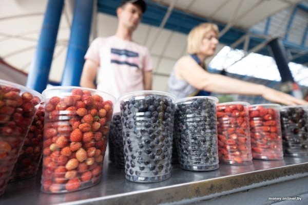 Начался сезон черники. Почем продают первые ягоды из Брестской области? Начался сезон черники. Почем продают первые ягоды из Брестской области?