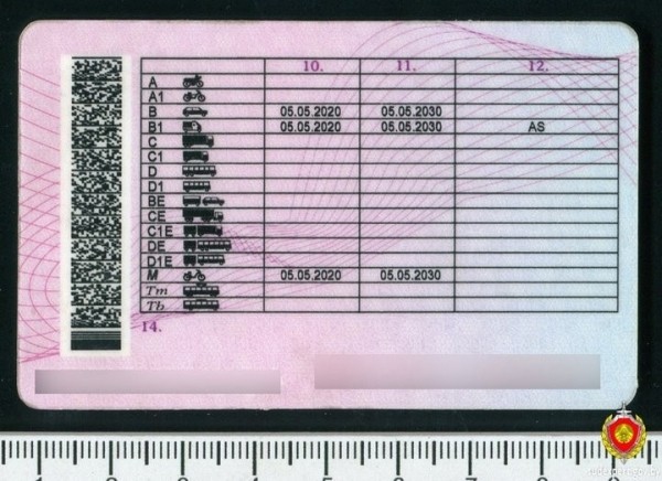 В Беларуси водитель предъявил ГАИ купленные в российском метро права