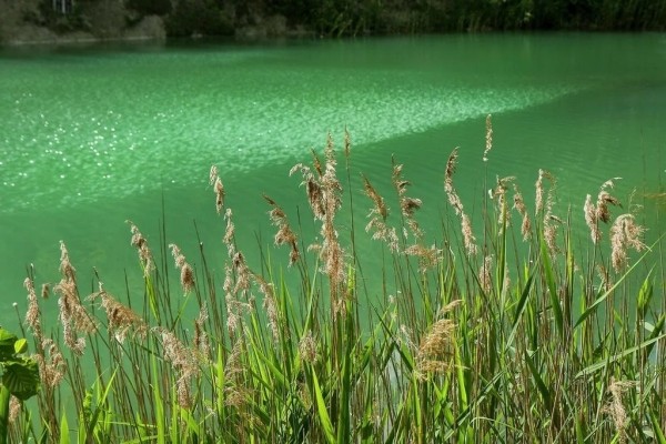 Отдых на белорусских Мальдивах — чем сейчас привлекают меловые карьеры Отдых на белорусских Мальдивах — чем сейчас привлекают меловые карьеры