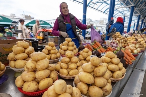 Наконец-то молодая белорусская картошка. Смотрим, почем у нас и у соседей Наконец-то молодая белорусская картошка. Смотрим, почем у нас и у соседей