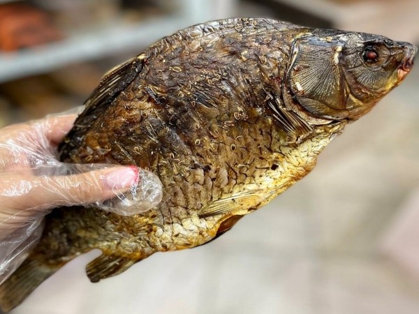 Весь июнь ЛИХИЕ БУДНИ в сети «Пиво Мастер» в Бресте! Скидки на весь ассортимент Весь июнь ЛИХИЕ БУДНИ в сети «Пиво Мастер» в Бресте! Скидки на весь ассортимент