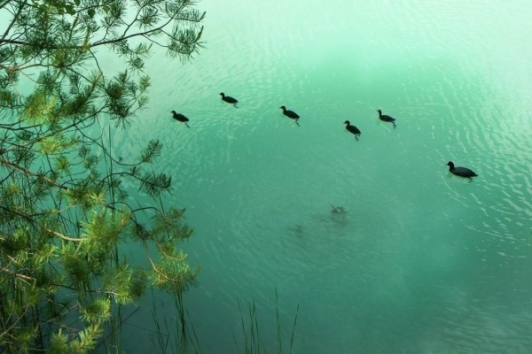 Отдых на белорусских Мальдивах — чем сейчас привлекают меловые карьеры Отдых на белорусских Мальдивах — чем сейчас привлекают меловые карьеры