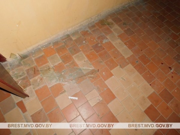 28-летний житель Брестской области «проверил» стекла на прочность 28-летний житель Брестской области «проверил» стекла на прочность