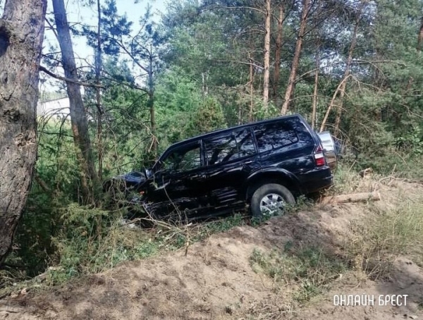 В Кобринском районе автоледи не справилась с управлением, легковушка повисла на дереве В Кобринском районе автоледи не справилась с управлением, легковушка повисла на дереве