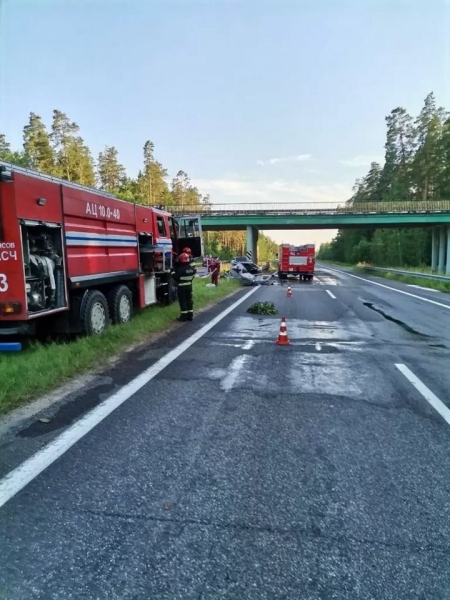 На М1 легковушка врезалась в ограждение разделительной полосы На М1 легковушка врезалась в ограждение разделительной полосы