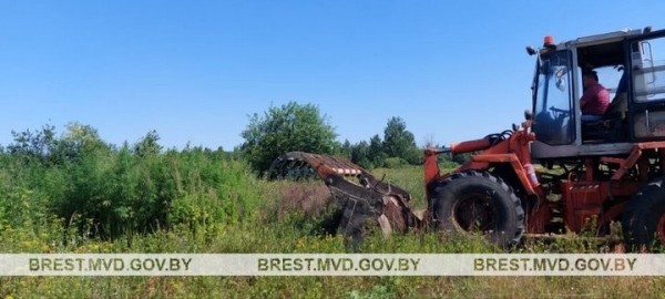 В Брестской области уничтожили порядка 1400 килограммов дикорастущей конопли В Брестской области уничтожили порядка 1400 килограммов дикорастущей конопли