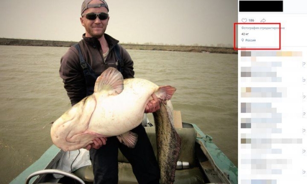 Подробности «удачной рыбалки на Бульковском заливе»
Подробности «удачной рыбалки на Бульковском заливе»