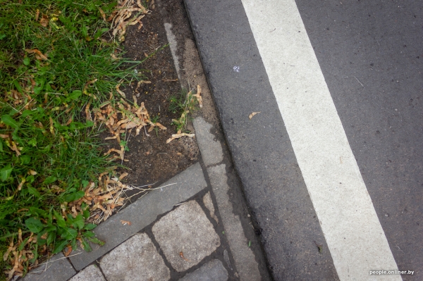 Как изменятся тело и фигура, если месяц заниматься бегом Как изменятся тело и фигура, если месяц заниматься бегом