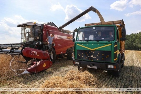Уборка хлебов уже стартовала на Брестчине Уборка хлебов уже стартовала на Брестчине