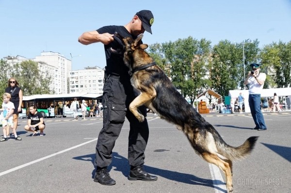 Фестиваль профессий «Единорог» в Бресте. Фоторепортаж
