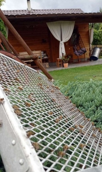 Увлечение родом из детства: как пчеловод из Кобрина продолжает дело родителей