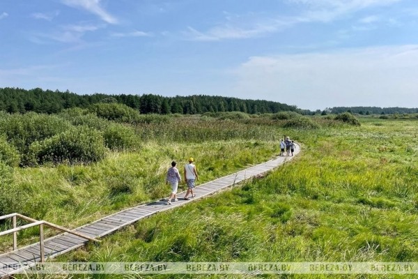 В деревне Высокое Березовского района состоялся экофестиваль «Споровские сенокосы – 2022»