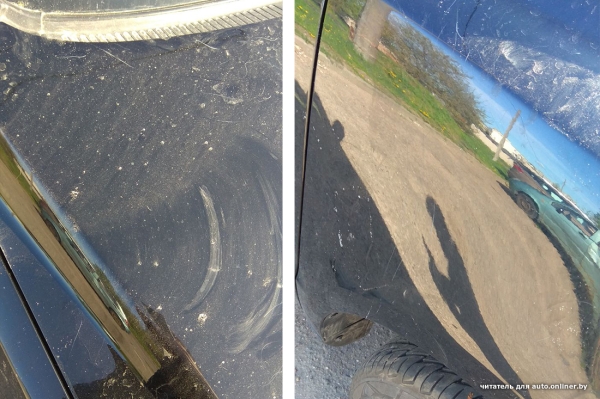 Собаки — это понятно. А посмотрите, что с машиной может сделать кот Собаки — это понятно. А посмотрите, что с машиной может сделать кот