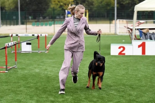 В Беларуси выбрали лучшую собаку В Беларуси выбрали лучшую собаку