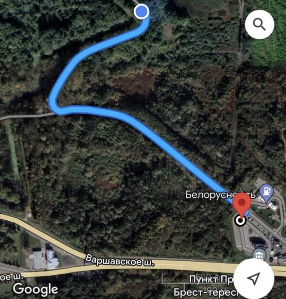 «Стоим до крепости». Новая система очереди на границе — ситуация в Бресте «Стоим до крепости». Новая система очереди на границе — ситуация в Бресте