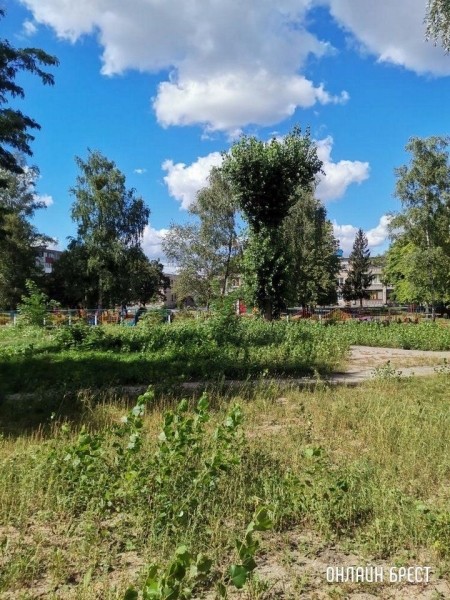 Читатель: Брест, ул. Янки Купалы, 12. Территория во дворе возле садика нуждается в покосе травы
Читатель: Брест, ул. Янки Купалы, 12. Территория во дворе возле садика нуждается в покосе травы