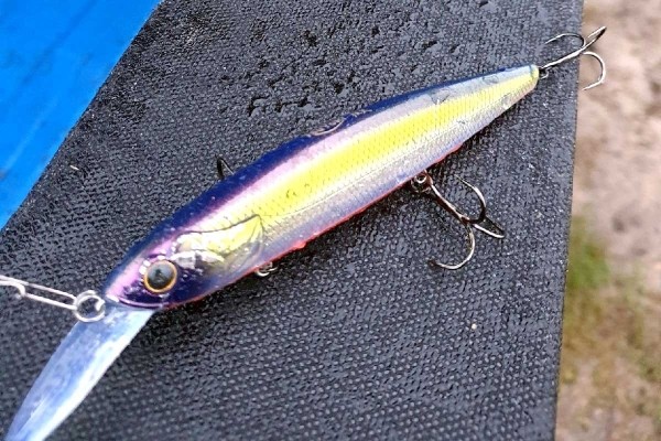 Рыбак словил в Припяти в Пинском районе метровую щуку Рыбак словил в Припяти в Пинском районе метровую щуку