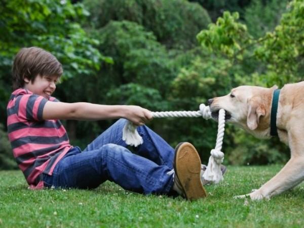 Дети и домашние животные. От первого знакомства до дружбы на всю жизнь Дети и домашние животные. От первого знакомства до дружбы на всю жизнь