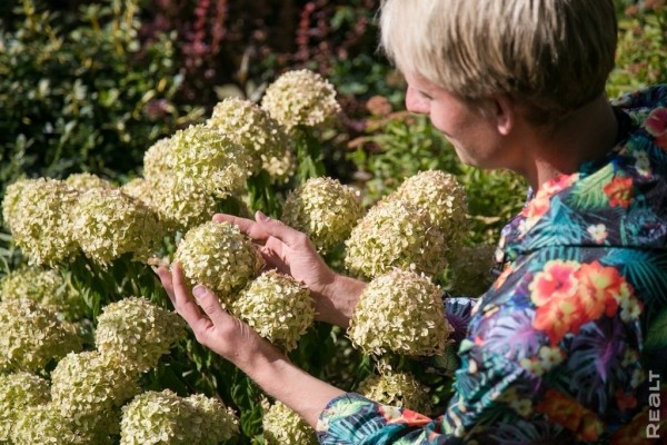 «Высадил рассаду на 11 тысяч долларов». Как обычный парень из Бреста создал сад с тысячами растений на 2 гектарах «Высадил рассаду на 11 тысяч долларов». Как обычный парень из Бреста создал сад с тысячами растений на 2 гектарах