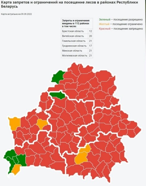 Запреты на посещение лесов начинают отменять в Беларуси Запреты на посещение лесов начинают отменять в Беларуси