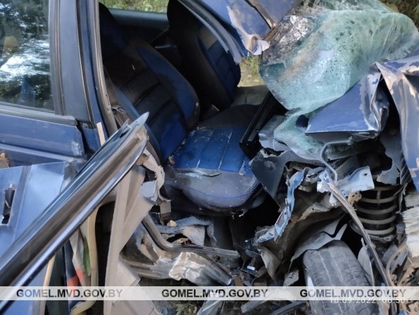 В Беларуси произошло смертельное ДТП из-за выскочившего на дорогу животного. Водитель бросила пассажирку и пошла домой