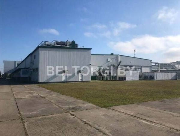 В Бресте за долги продают целый колбасный завод. Узнали условия и цену В Бресте за долги продают целый колбасный завод. Узнали условия и цену