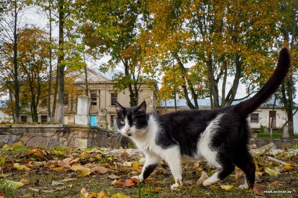 «На реставрацию нужно $800 000». Как простые белорусы спасают разрушающийся дворец в Брестской области