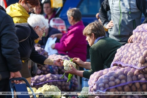 Сезон сельхозярмарок в Бресте в самом разгаре