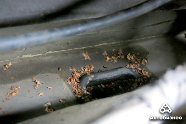 Из-за чего потеют стекла, как их быстро очистить и можно ли решить проблему принципиально Из-за чего потеют стекла, как их быстро очистить и можно ли решить проблему принципиально