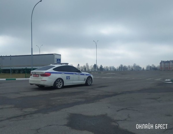 Сотрудники ГАИ в Брестской области за неделю выявили 133 бесправника Сотрудники ГАИ в Брестской области за неделю выявили 133 бесправника
