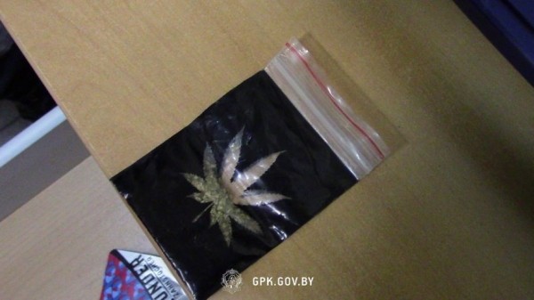 Россиянин пытался провезти марихуану через пункт пропуска «Брест» Россиянин пытался провезти марихуану через пункт пропуска «Брест»