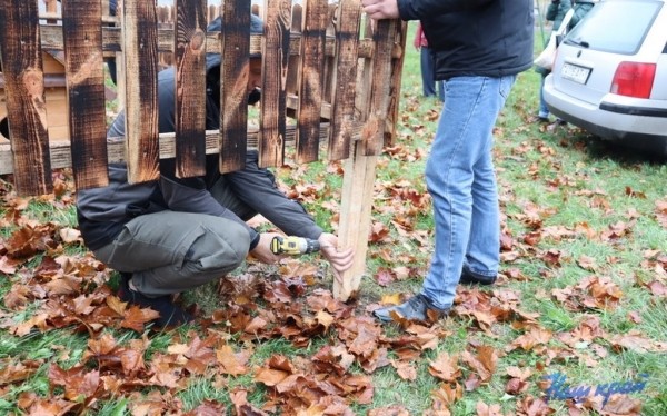 В Барановичах установили первые домики для бездомных котов В Барановичах установили первые домики для бездомных котов